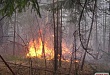 Лесные пожары: причины возникновения, способы предотвращения и меры борьбы